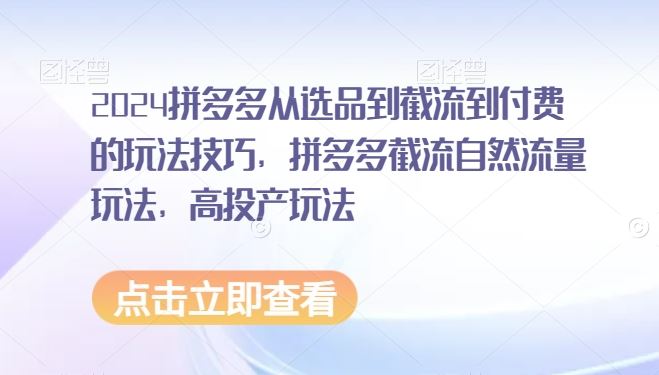 2024拼多多从选品到截流到付费的玩法技巧，拼多多截流自然流量玩法，高投产玩法 - 首创网