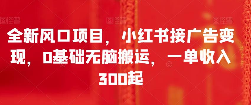 全新风口项目，小红书接广告变现，0基础无脑搬运，一单收入300起 - 首创网