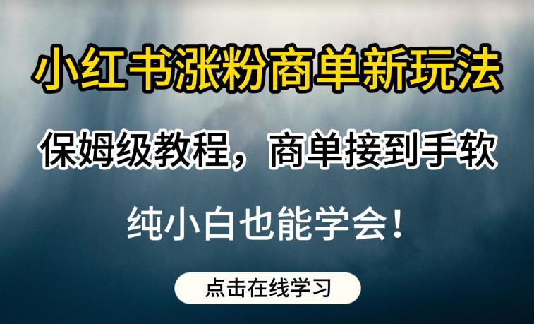 小红书涨粉商单新玩法，保姆级教程，商单接到手软，纯小白也能学会【揭秘】 - 首创网