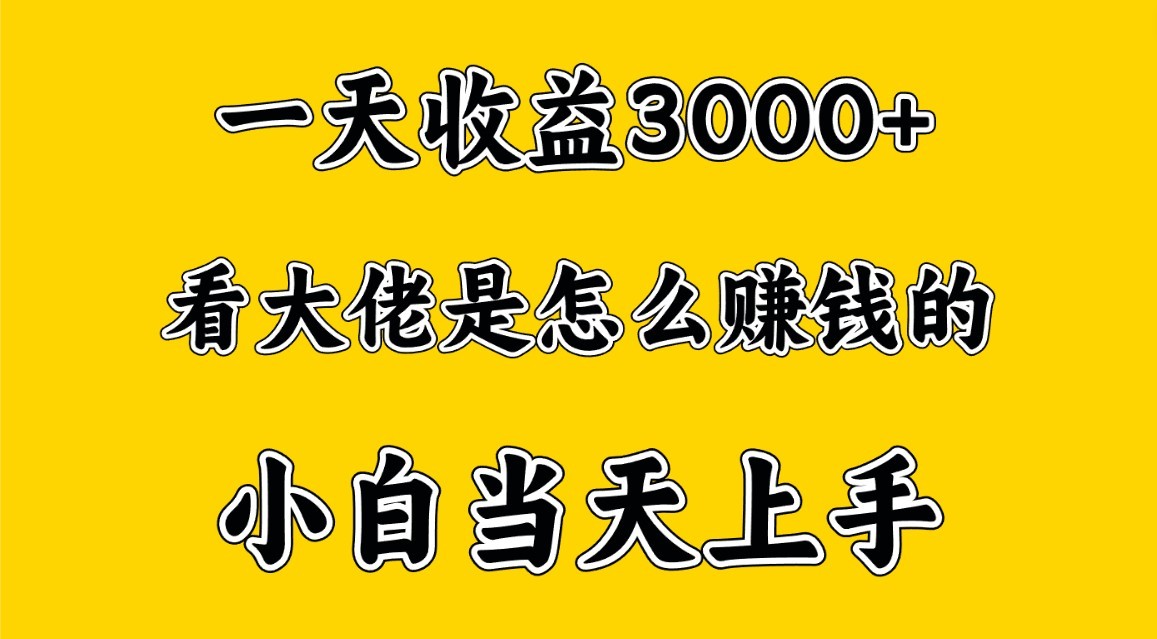 一天赚3000多，大佬是这样赚到钱的，小白当天上手，穷人翻身项目 - 首创网