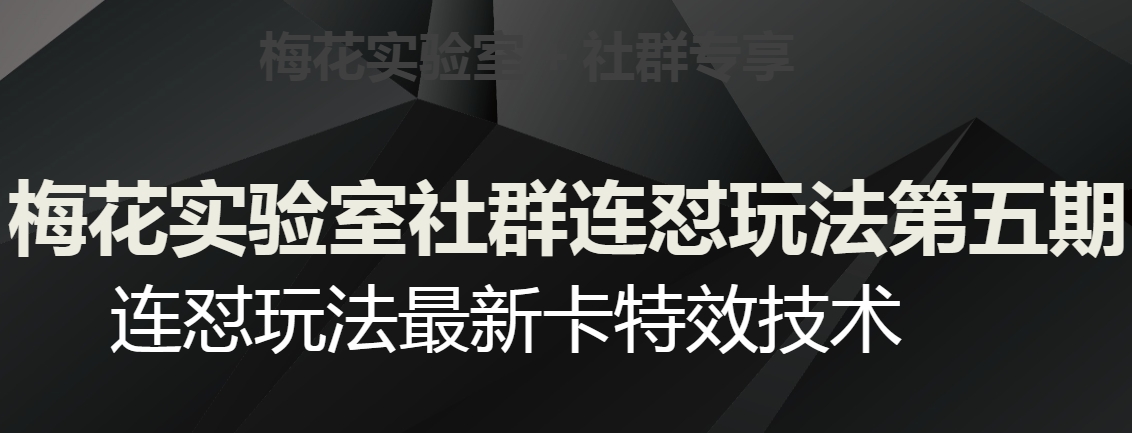 梅花实验室社群连怼玩法第五期，视频号连怼玩法最新卡特效技术 - 首创网