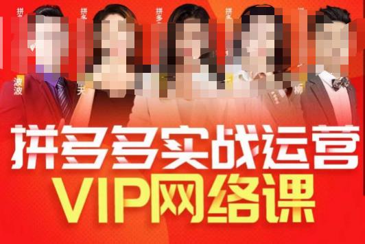 推易拼多多VIP全套直播课程，拼多多店铺实操玩法+实战玩法选款内功+直通车高阶等 - 首创网