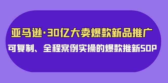 （9944期）亚马逊30亿·大卖爆款新品推广，可复制、全程案例实操的爆款推新SOP - 首创网