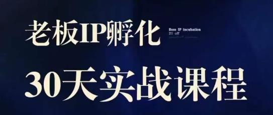 诸葛·2023老板IP实战课，实体同城引流获客，IP孵化必听 - 首创网