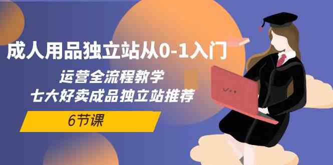 成人用品独立站从0-1入门，运营全流程教学，七大好卖成品独立站推荐（6节课） - 首创网