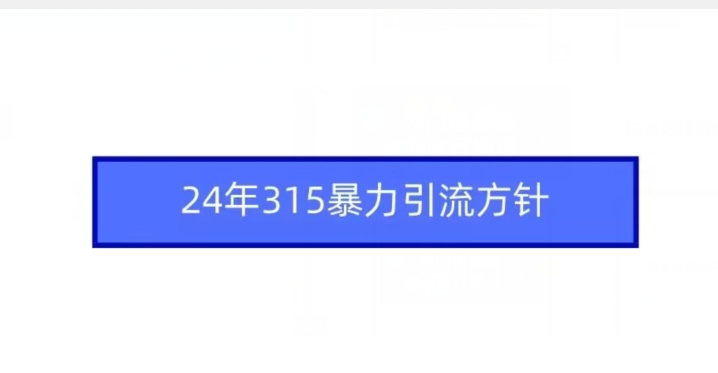 24年315暴力引流方针 - 首创网