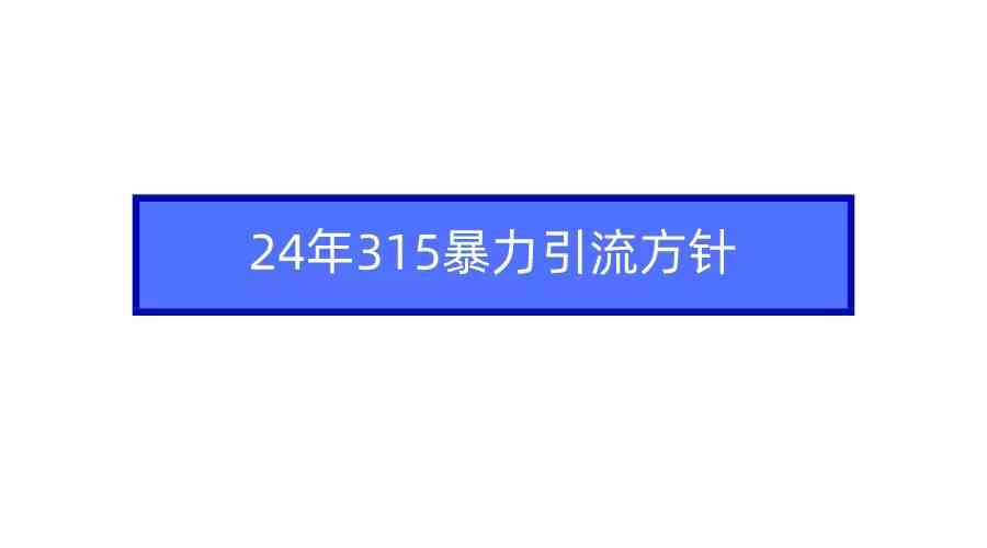 （9398期）2024年315暴力引流方针 - 首创网