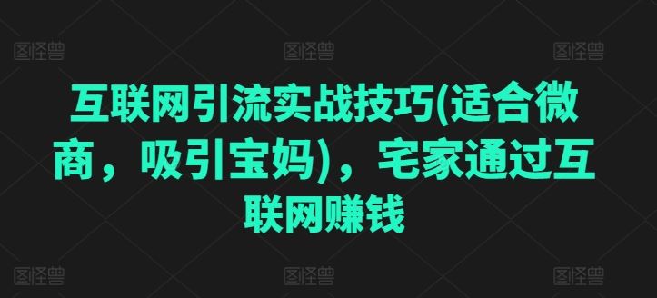 互联网引流实战技巧(适合微商，吸引宝妈)，宅家通过互联网赚钱 - 首创网