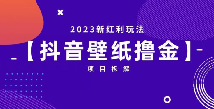 抖音壁纸小程序创作者撸金项目，2023新红利玩法【项目拆解】 - 首创网