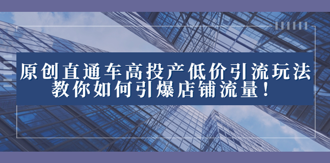 （8197期）2023直通车高投产低价引流玩法，教你如何引爆店铺流量！ - 首创网