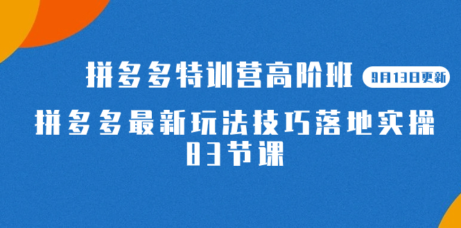 （7295期）2023拼多多·特训营高阶班【9月13日更新】拼多多最新玩法技巧落地实操-83节 - 首创网