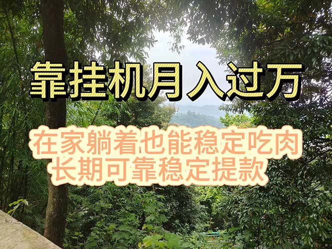 （11144期）挂机掘金，日入1000+，躺着也能吃肉，适合宝爸宝妈学生党工作室，电脑… - 首创网