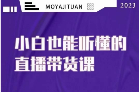 大威本威·能听懂的直播带货课，小白也能听懂，20节完整 - 首创网