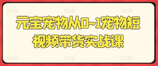 元宝宠物从0~1宠物短视频带货实战课 - 首创网