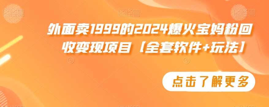 外面卖1999的2024爆火宝妈粉回收变现项目【全套软件+玩法】【揭秘】 - 首创网