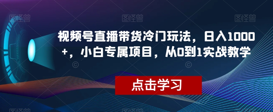 视频号直播带货冷门玩法，日入1000+，小白专属项目，从0到1实战教学【揭秘】 - 首创网