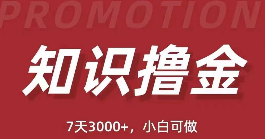 抖音知识撸金项目：简单粗暴日入1000+执行力强当天见收益(教程+资料) - 首创网