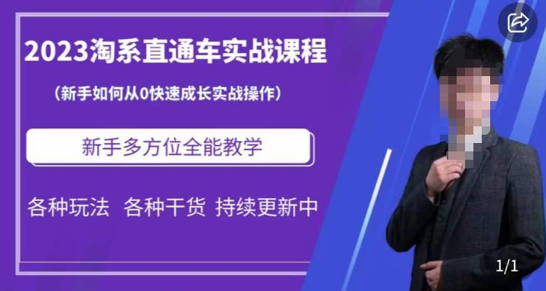 2023淘系直通车保姆式运营讲解，新手如何从0快速成长实战操作，新手多方位全能教学 - 首创网