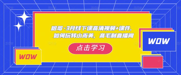 哈哥·3月线下实操课高清视频+课件，如何玩转小而美，高毛利直播间 - 首创网