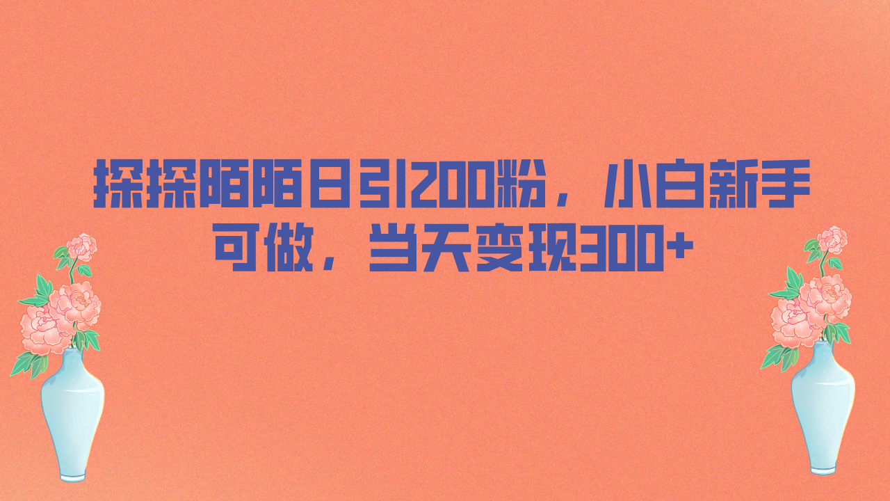 （6817期）探探陌陌日引200粉，小白新手可做，当天就能变现300+ - 首创网