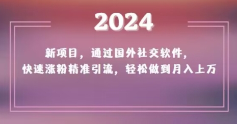 2024新项目，通过国外社交软件，快速涨粉精准引流，轻松做到月入上万【揭秘】 - 首创网