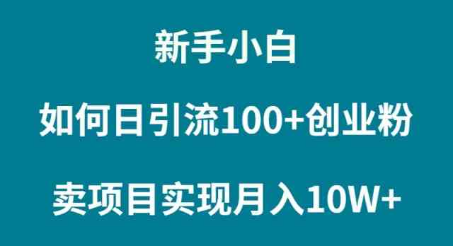 （9556期）新手小白如何通过卖项目实现月入10W+ - 首创网