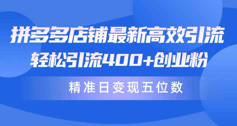 （10041期）拼多多店铺最新高效引流术，轻松引流400+创业粉，精准日变现五位数！ - 首创网