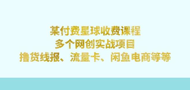 某付费星球课程：多个网创实战项目，撸货线报、流量卡、闲鱼电商等（文档非视频） - 首创网