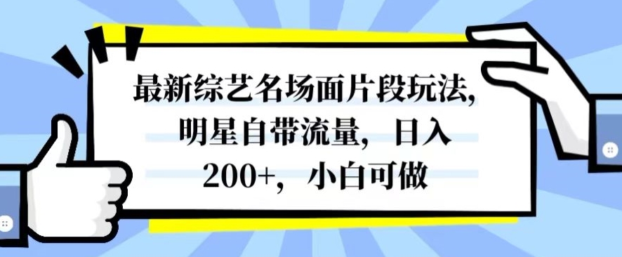 最新综艺名场面片段玩法，明星自带流量，日入200+，小白可做【揭秘】 - 首创网