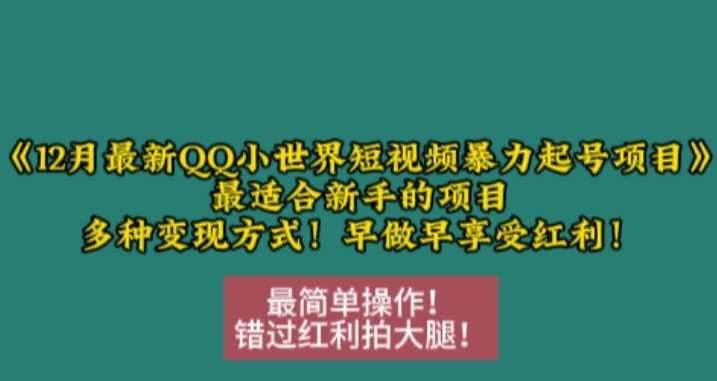 12月最新QQ小世界短视频暴力起号项目，最适合新手的项目，多种变现方式 - 首创网