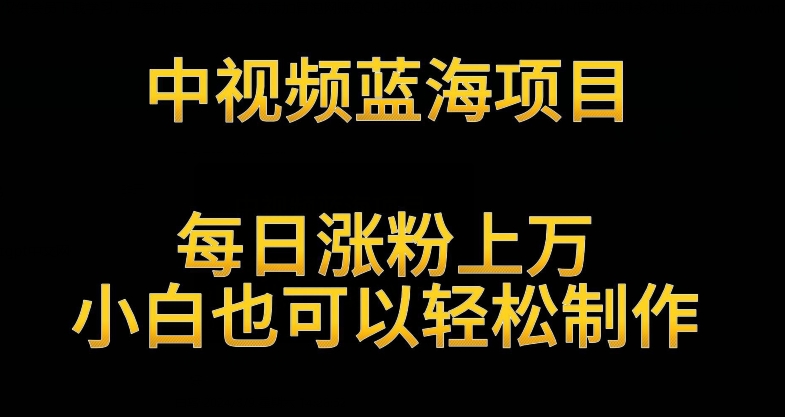 中视频蓝海项目，解读英雄人物生平，每日涨粉上万，小白也可以轻松制作，月入过万不是梦 - 首创网