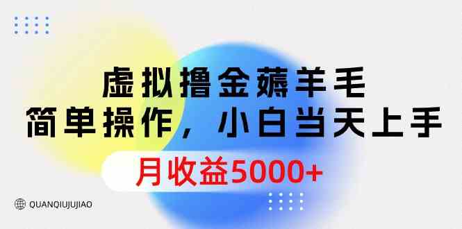 （9864期）虚拟撸金薅羊毛，简单操作，小白当天上手，月收益5000+ - 首创网