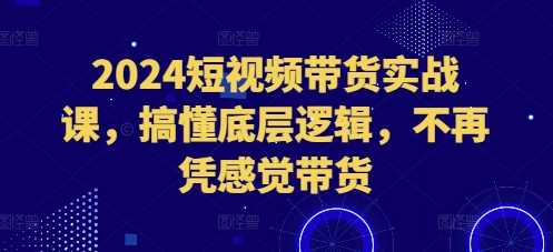 2024短视频带货实战课，搞懂底层逻辑，不再凭感觉带货 - 首创网