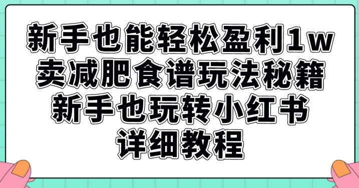 新手也能轻松盈利1w，卖减肥食谱玩法秘籍，新手也玩转小红书详细教程【揭秘】 - 首创网