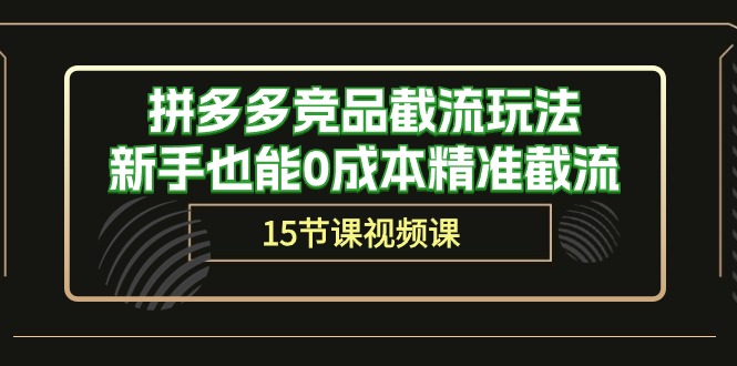 拼多多竞品截流玩法，新手也能0成本精准截流（15节课） - 首创网