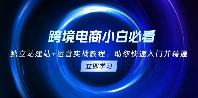 （13503期）跨境电商小白必看！独立站建站+运营实战教程，助你快速入门并精通 - 首创网