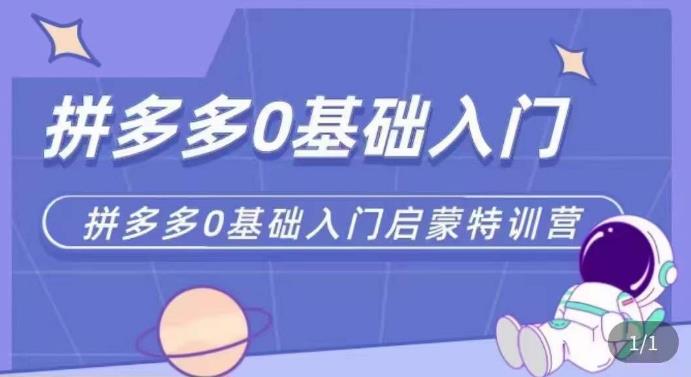 拼多多运营0-1实操特训营，拼多多0基础入门，从基础到进阶的可实操玩法 - 首创网