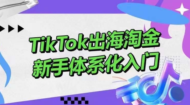 TikTok出海淘金，新手体系化入门，零基础快速入门，掌握短视频、直播带货等引流到变现的知识 - 首创网