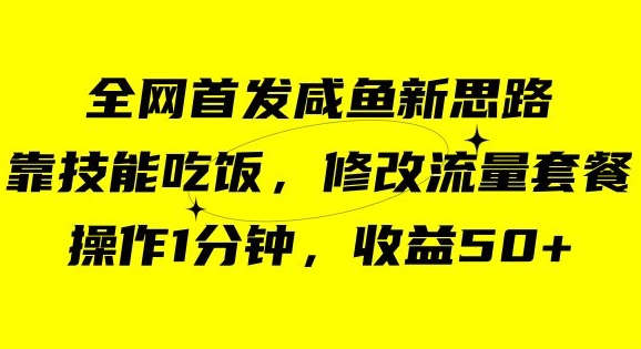 咸鱼冷门新玩法，靠“技能吃饭”，修改流量套餐，操作1分钟，收益50【揭秘】 - 首创网