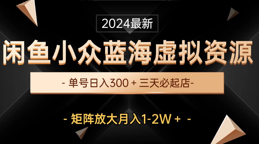 （10336期）最新闲鱼小众蓝海虚拟资源，单号日入300＋，三天必起店，矩阵放大月入1-2W - 首创网