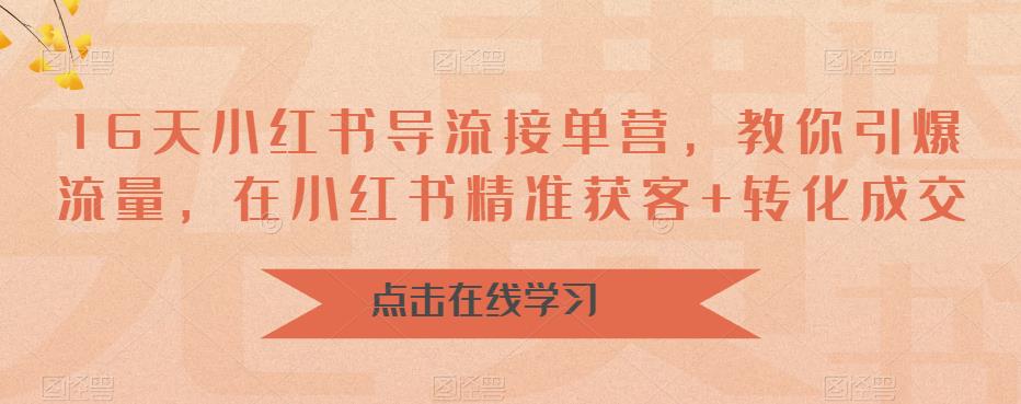 16天小红书导流接单营，教你引爆流量，在小红书精准获客+转化成交 - 首创网