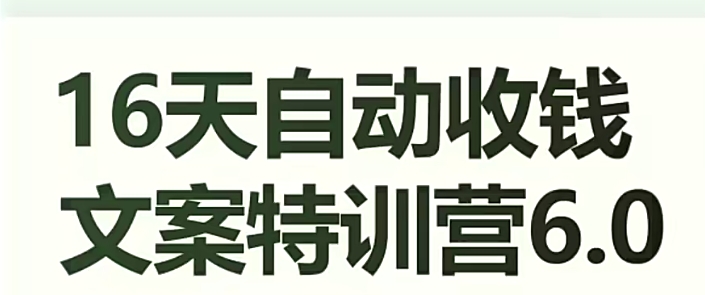 16天自动收钱文案特训营6.0，学会儿每天自动咔咔收钱 - 首创网