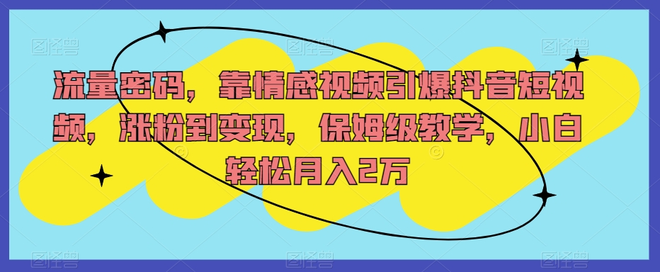 流量密码，靠情感视频引爆抖音短视频，涨粉到变现，保姆级教学，小白轻松月入2万【揭秘】 - 首创网