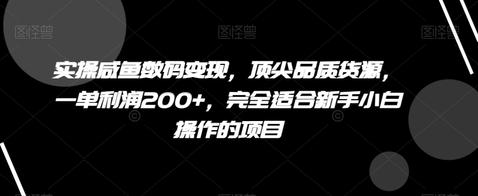 实操咸鱼数码变现，顶尖品质货源，一单利润200+，完全适合新手小白操作的项目【揭秘】 - 首创网