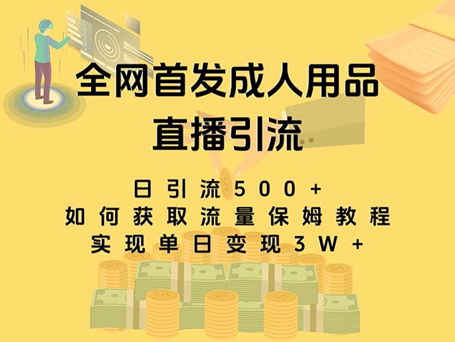 （8193期）最新全网独创首发，成人用品直播引流获客暴力玩法，单日变现3w保姆级教程 - 首创网