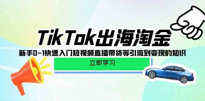 TikTok出海淘金，新手0-1快速入门短视频直播带货等引流到变现的知识 - 首创网