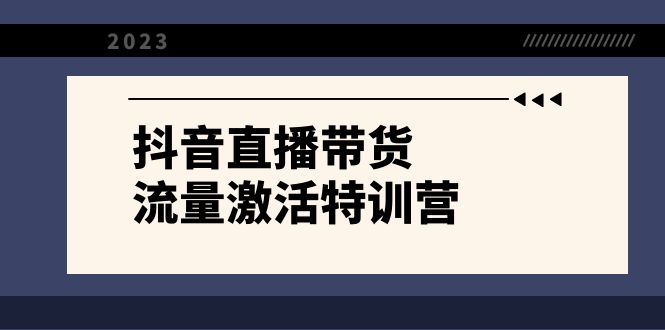 （8185期）抖音直播带货-流量激活特训营，入行新手小白主播必学（21节课+资料） - 首创网