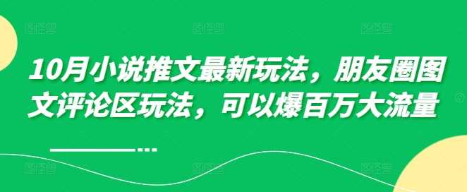 10月小说推文最新玩法，朋友圈图文评论区玩法，可以爆百万大流量 - 首创网