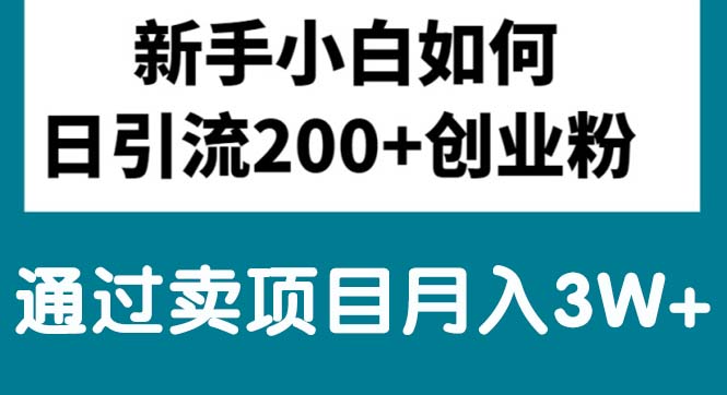 （10843期）新手小白日引流200+创业粉,通过卖项目月入3W+ - 首创网