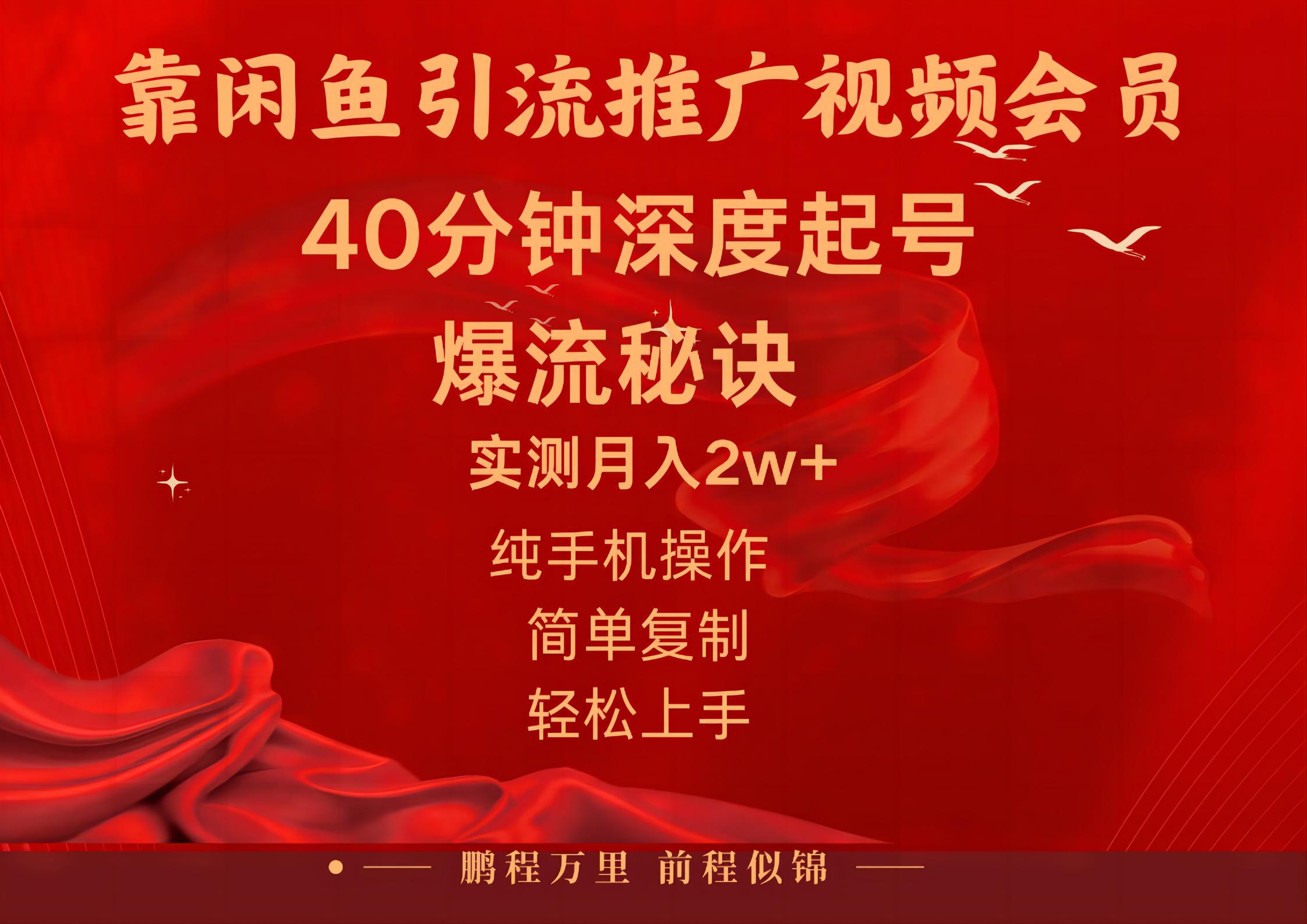 （10895期）闲鱼暴力引流推广视频会员，能做到日入2W+，操作简单 - 首创网